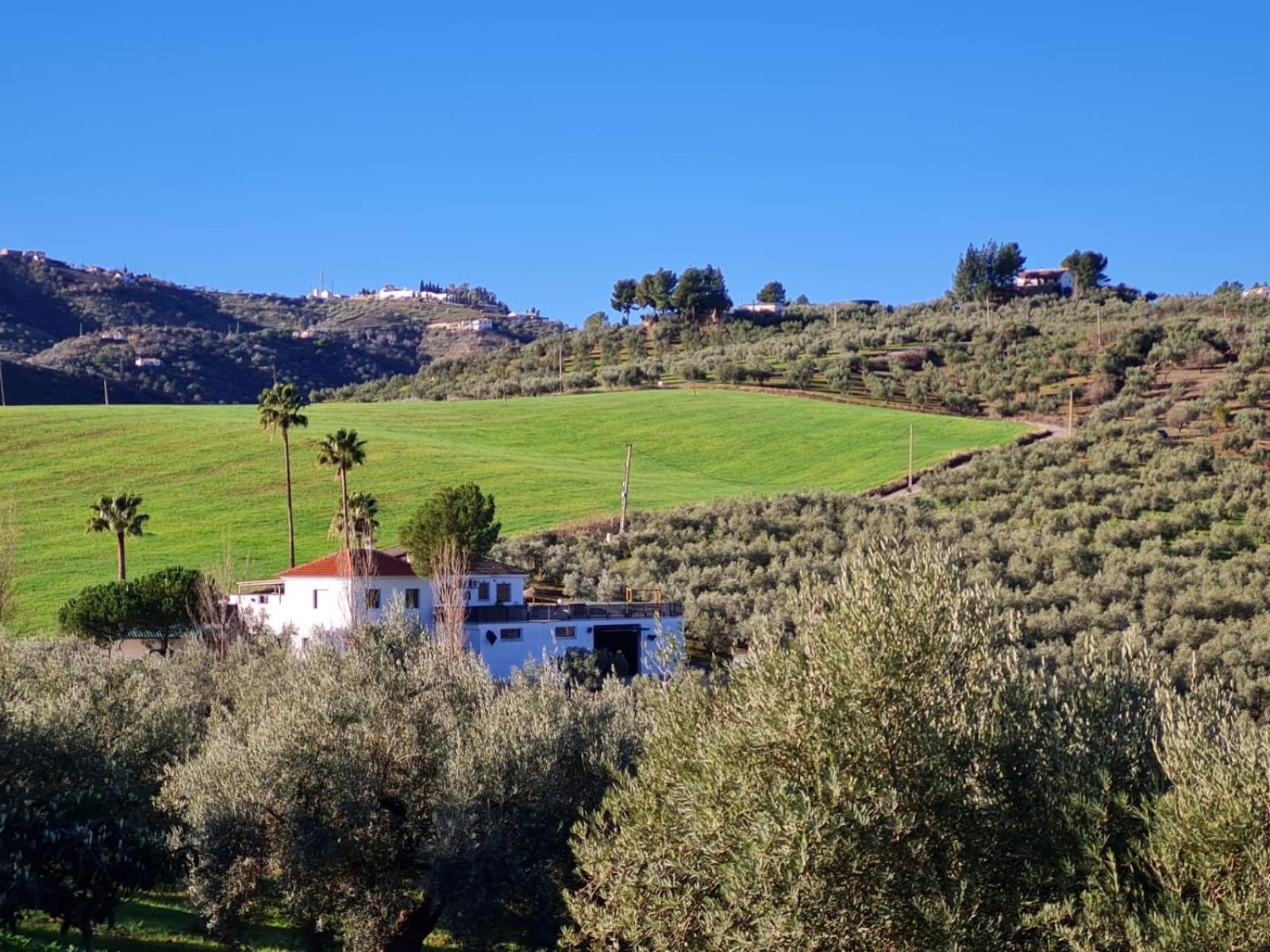 Casa Metaverdi Colmenar Exterior photo